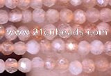 CTG1455 15.5 inches 2mm faceted round sunstone beads wholesale