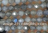 CTG1459 15.5 inches 2mm faceted round labradorite beads wholesale