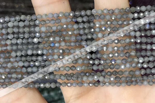 CTG1459 15.5 inches 2mm faceted round labradorite beads wholesale