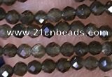 CTG1461 15.5 inches 2mm faceted round golden obsidian beads