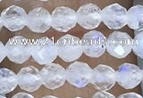 CTG1482 15.5 inches 3mm faceted round white moonstone beads