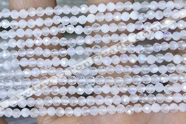 CTG1482 15.5 inches 3mm faceted round white moonstone beads