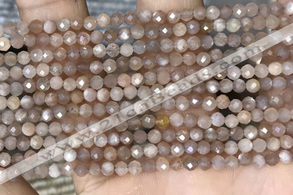 CTG1503 15.5 inches 3mm faceted round moonstone gemstone beads