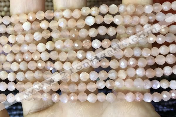 CTG1544 15.5 inches 4mm faceted round moonstone beads wholesale