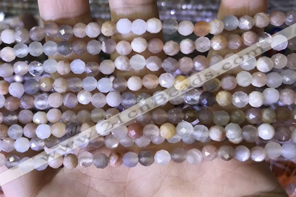 CTG1550 15.5 inches 4mm faceted round moonstone beads wholesale