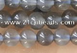 CTG1582 15.5 inches 4mm round grey moonstone beads wholesale