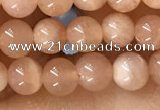 CTG1583 15.5 inches 4mm round moonstone gemstone beads wholesale