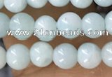 CTG1593 15.5 inches 4mm round amazonite gemstone beads wholesale