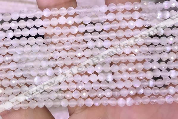 CTG1601 15.5 inches 3mm faceted round tiny white moonstone beads