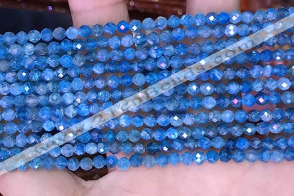 CTG1614 15.5 inches 3.5mm faceted round tiny apatite beads