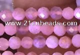 CTG1645 15.5 inches 3mm faceted round tiny moonstone beads