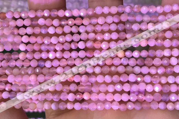 CTG1645 15.5 inches 3mm faceted round tiny moonstone beads