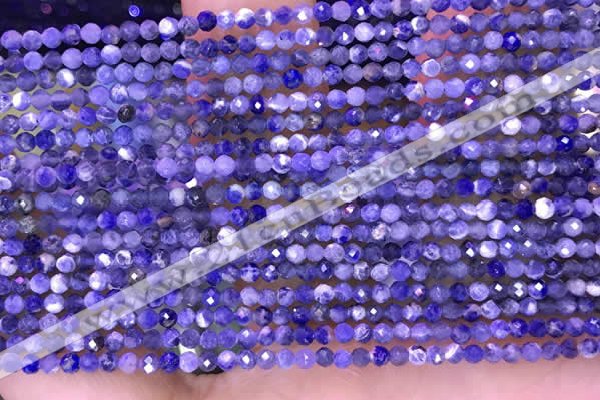 CTG1665 15.5 inches 2mm faceted round tiny sodalite beads