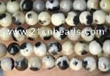 CTG2005 15 inches 2mm,3mm dalmatian jasper beads wholesale