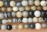 CTG2013 15 inches 2mm,3mm picasso jasper beads