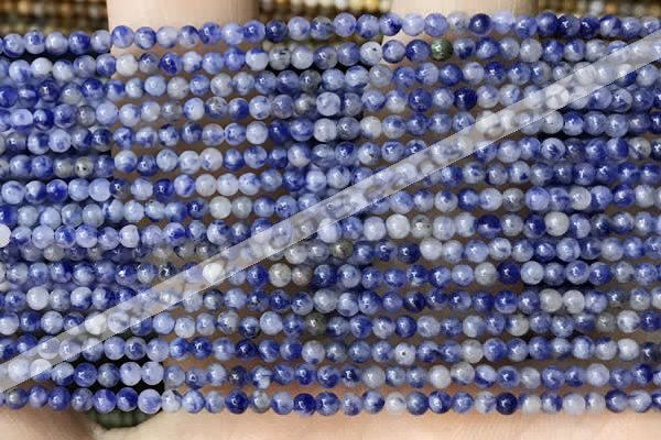 CTG2017 15 inches 2mm,3mm sodalite gemstone beads