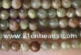 CTG2045 15 inches 2mm,3mm China unakite beads