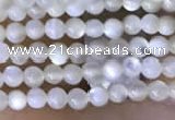 CTG2047 15 inches 2mm,3mm mother of pearl beads