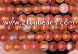 CTG2056 15 inches 2mm,3mm red agate gemstone beads