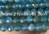 CTG2130 15 inches 2mm,3mm faceted round apatite gemstone beads