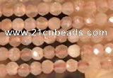 CTG2138 15 inches 2mm,3mm faceted round sunstone gemstone beads