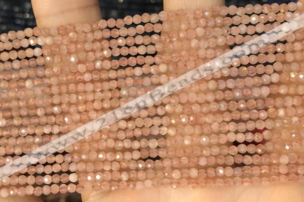 CTG2138 15 inches 2mm,3mm faceted round sunstone gemstone beads