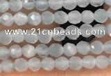 CTG2145 15 inches 2mm,3mm faceted round aquamarine gemstone beads