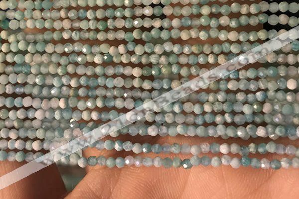 CTG2154 15 inches 2mm,3mm faceted round amazonite gemstone beads