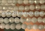 CTG2155 15 inches 2mm,3mm faceted round amazonite gemstone beads