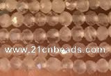 CTG2156 15 inches 2mm,3mm faceted round white moonstone beads