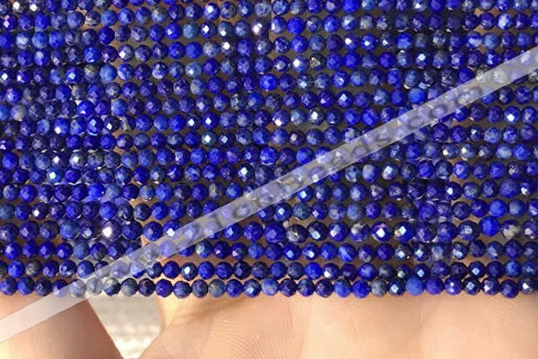 CTG2159 15 inches 2mm,3mm faceted round lapis lazuli beads