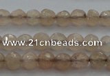 CTG218 15.5 inches 3mm faceted round tiny moonstone beads