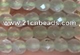 CTG2205 15 inches 2mm,3mm faceted round prehnite gemstone beads