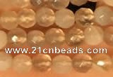 CTG2209 15 inches 2mm,3mm faceted round botswana agate beads