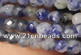 CTG2216 15 inches 2mm,3mm faceted round sodalite gemstone