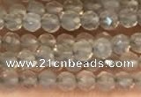 CTG2255 15 inches 2mm faceted round grey agate beads