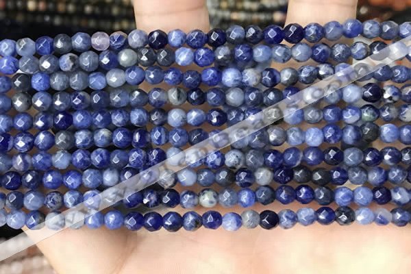 CTG3573 15.5 inches 4mm faceted round sodalite beads wholesale