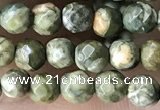 CTG3578 15.5 inches 4mm faceted round rhyolite beads wholesale