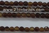 CTG425 15.5 inches 2mm faceted round tiny agate gemstone beads