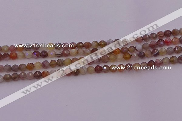 CTG514 15.5 inches 4mm faceted round tiny botswana agate beads