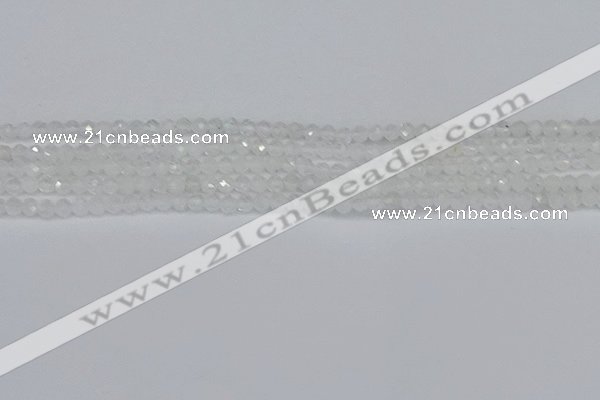 CTG604 15.5 inches 3mm faceted round white moonstone beads