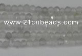 CTG612 15.5 inches 2mm faceted round labradorite beads