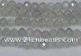 CTG613 15.5 inches 3mm faceted round labradorite beads