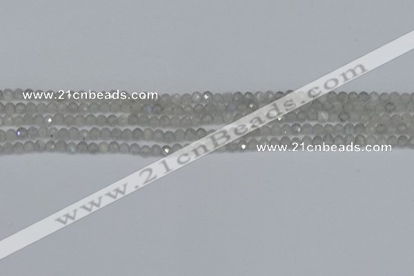 CTG613 15.5 inches 3mm faceted round labradorite beads