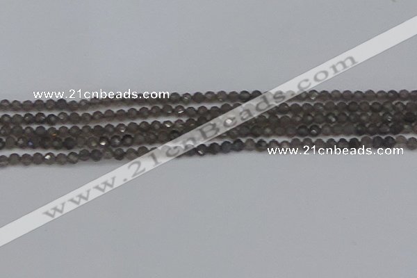 CTG639 15.5 inches 2mm faceted round smoky black obsidian beads