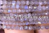 CTG700 15.5 inches 2mm faceted round tiny labradorite beads