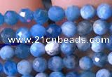 CTG760 15.5 inches 3mm faceted round tiny apatite gemstone beads