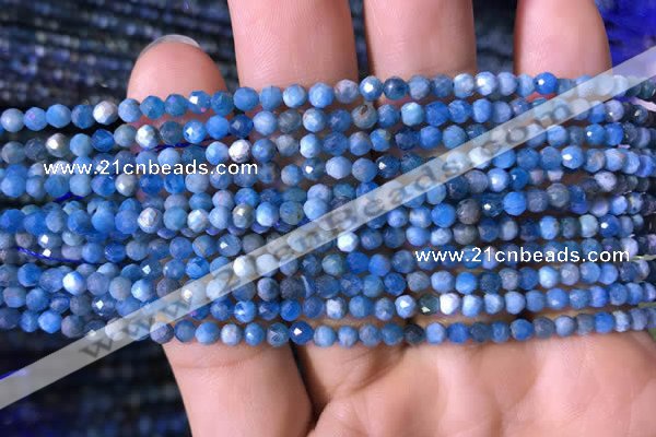 CTG760 15.5 inches 3mm faceted round tiny apatite gemstone beads