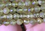 CTG813 15.5 inches 4mm faceted round tiny prehnite beads