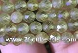 CTG814 15.5 inches 5mm faceted round tiny prehnite beads